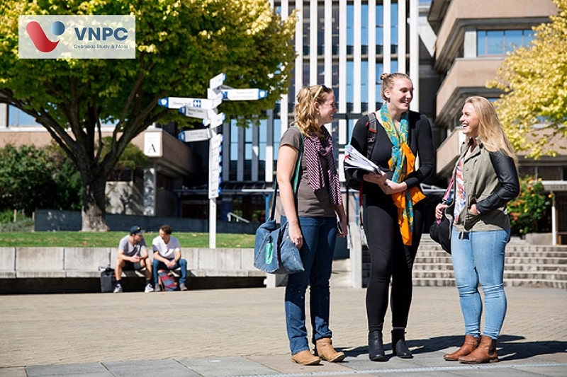 the university of auckland